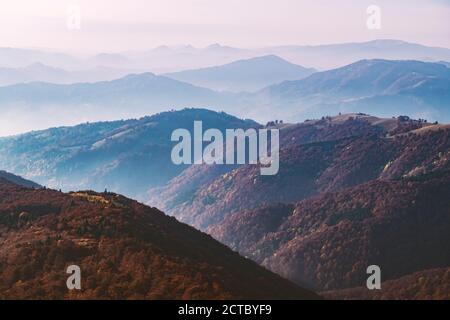 Herbstberge bei Sonnenaufgang. Karpaten, Ukraine. Landschaftsfotografie Stockfoto