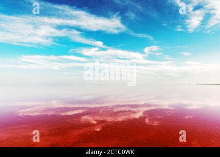 Rosa See Wasser unter blauem Himmel mit flauschigen Wolken im Sommer Tag. Kreatives Farbkonzept Stockfoto