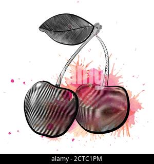 Vektorgravur Illustration von zwei Kirschen mit rosa Aquarellspritzern. Schwarz-Weiß-Radierung Illustration. Das Objekt wird von Th getrennt Stock Vektor