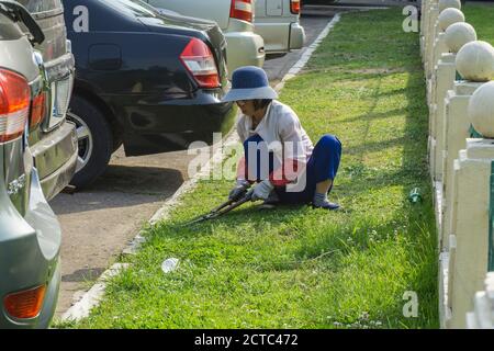 Frauen Unkraut und Hand schneiden das Gras mit Handscheren in Pjöngjang, Nordkorea Stockfoto