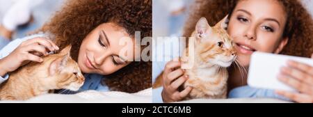 Collage von lockigen Frau streicheln und Selfie mit Katze Zu Hause Stockfoto