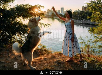 Junge Frau spielt mit Malamute Hund und füttert es mit Eis im Park vor dem Hintergrund des Flusses und der Stadt bei Sonnenuntergang. Stockfoto