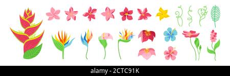 Exotische Blumen Cartoon-Set. Tropische botanische hell florale flache Pflanzen. Wildblumen Kollektion. Hawaiianische handgezeichnete Farbe Dschungel. Plumeria, Heliconia und strelitzia. Vektorgrafik Stock Vektor