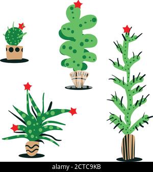 sukkulenten mit Sternornamenten Vektorgrafik Stock Vektor