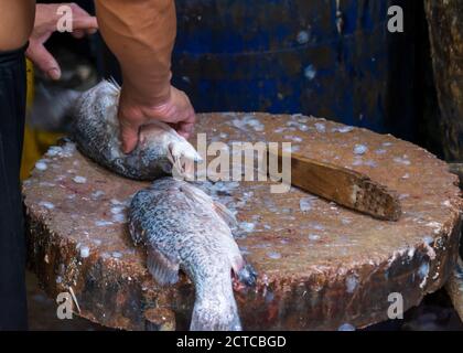 Ein Fischhändler bereitet seinen Fisch auf dem Khlong Toei Markt, dem größten Frischemarkt in Bangkok, Thailand, zu. Stockfoto