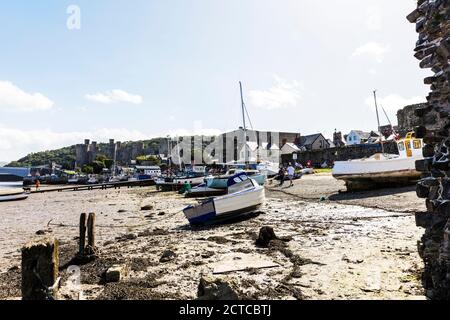 Conwy Harbour, Conwy Marina, Conwy, Conwy Town, Conwy Wales, Wales, North Wales, Großbritannien, Hafen, Yachthafen, Hafen, Wales Coast, Boote, Boot, Küste, Stockfoto