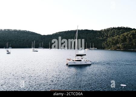 Katamaran Segeln in Adria Stockfoto