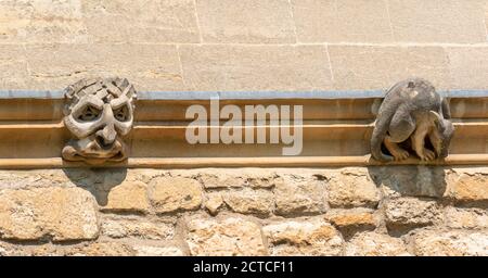OXFORD CITY ENGLAND GOTISCHE WASSERSPEIER AN DER WAND DES NEUEN COLLEGE EIN GESICHT UND EIN TIER Stockfoto