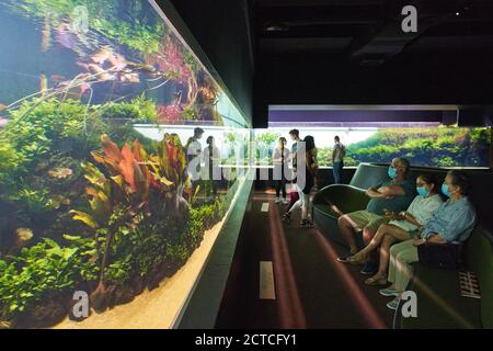 Lissabon, Lissabon, Portugal, 16. August 2020. Touristen besuchen das Ozeanium Aquarium. © Peter Schatz / Alamy Stock Photos Stockfoto