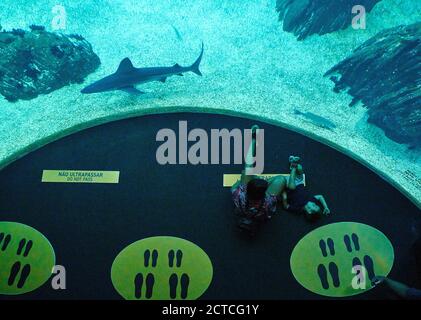 Lissabon, Lissabon, Portugal, 16. August 2020. Touristen besuchen das Ozeanium Aquarium. © Peter Schatz / Alamy Stock Photos Stockfoto