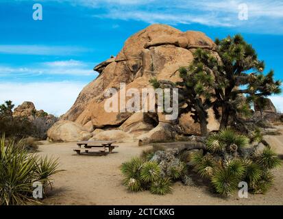 Wüstenlandschaft mit Felsformation, Joshua Tree National Park, Kalifornien Stockfoto