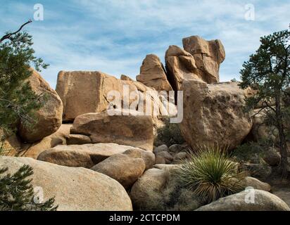 Wüstenlandschaft mit Felsformation, Joshua Tree National Park, Kalifornien Stockfoto