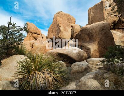 Wüstenlandschaft mit Felsformation, Joshua Tree National Park, Kalifornien Stockfoto