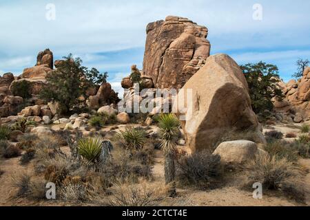 Wüstenlandschaft mit Felsformation, Joshua Tree National Park, Kalifornien Stockfoto