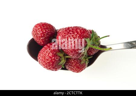 Ein Bündel von leckeren saftigen roten Erdbeeren, liegt in einem Löffel, isoliert auf einem weißen Hintergrund, Nahaufnahme, Draufsicht Stockfoto