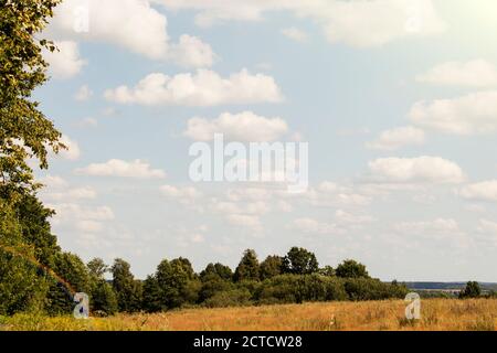 Landschaft-Felder im Herbst mit Wäldern im Hintergrund und Wolken Stockfoto