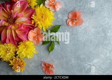 Blumenschmuck in der Ecke. Verschiedene Blumen auf grauem Hintergrund. Draufsicht und Kopierbereich. Stockfoto