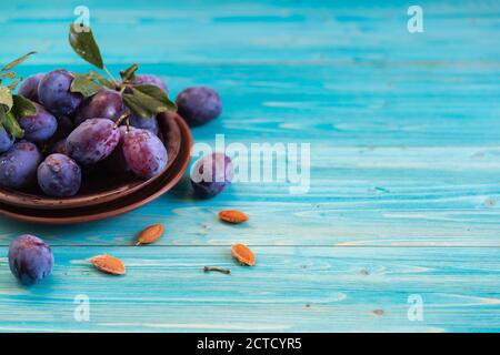 Ein paar reife blaue Pflaumen in einem braunen Teller auf einem blauen Holztisch. Mehrere Knochen liegen getrennt. Speicherplatz kopieren Stockfoto