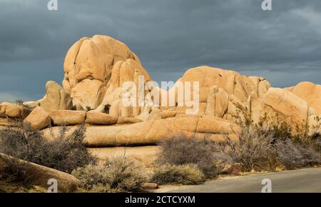 Jumbo Rocks Area, Joshua Tree National Park, Kalifornien Stockfoto