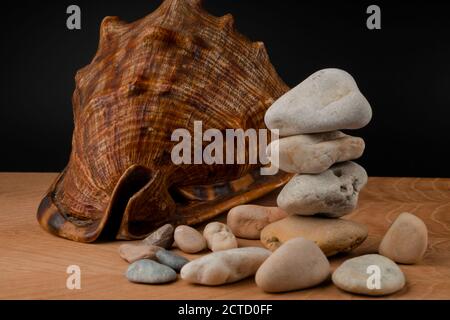 Muscheln und Steine auf einer Tafel auf schwarzem Hintergrund Stockfoto