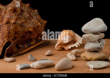 Muscheln und Steine auf einer Tafel auf schwarzem Hintergrund Stockfoto