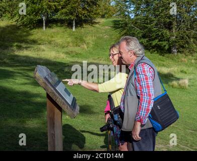 Blenheim Palace Woodstock - Blick auf ein Paar, das die studiert Touristeninformation über den Harry Potter Baum - Zeder Des libanon Stockfoto