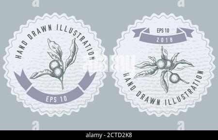 Monochrome Etiketten Design mit Illustration von solanum Stock Vektor