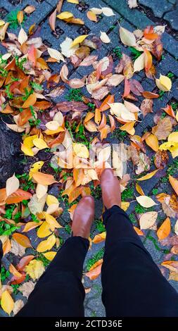 Damenbeine in dunklen Schuhen stehen auf bunten Herbstblättern Im Herbst in einem Park Stockfoto