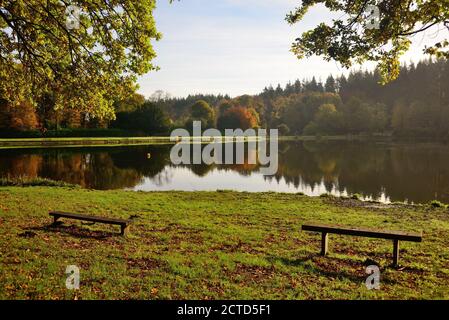 Herbstspiegelungen im See bei Shear Water. Stockfoto