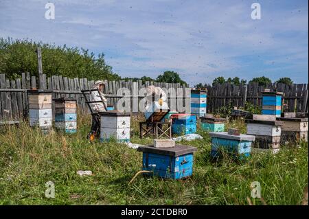 Imker in Schutzanzug inspiziert seine Reihe von Bienenstöcken an Bienenhaus mit Bienen schwärmen um ihn herum Stockfoto