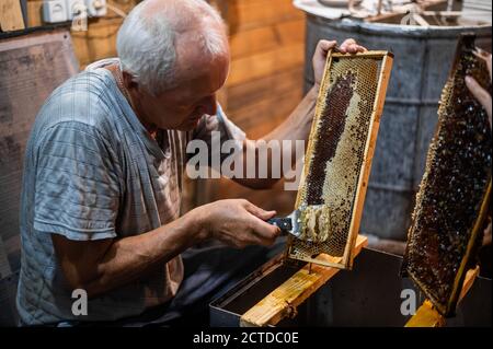 Ein älterer Imker arbeitet mit Rahmen für Honig. Manuelle Arbeit im Bienenhaus.