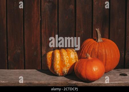 Drei orangefarbene Kürbisse auf einer rustikalen Holzbank. Holzhintergrund. Hallo Herbstkonzept. Thanksgiving, Herbst, Herbst Konzept. Stockfoto