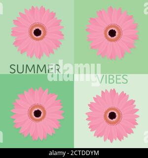 Im Sommer. Rosa Ringelblumeblume in Wassermelone-Farben und in verschiedenen Farbtönen. Stock Vektor