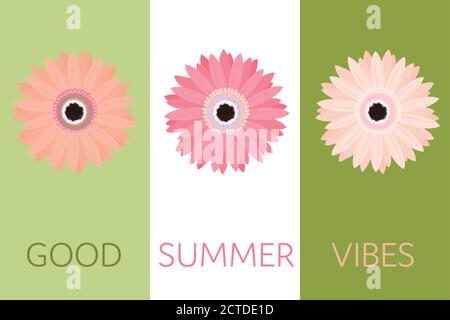 Im Sommer. Rosa Ringelblumeblume in Wassermelone-Farben und in verschiedenen Farbtönen. Stock Vektor