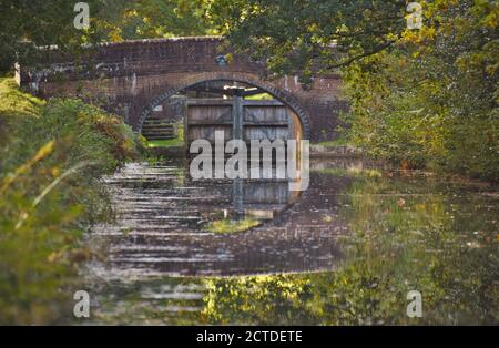 Die Cowpath Bridge über den wunderschönen Basingstoke Canal in Surrey Stockfoto