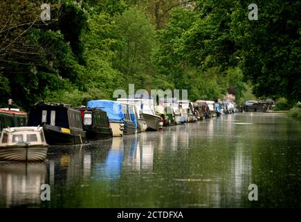 Eine Reihe von Booten spiegelt sich in der schönen Wey Navigation In Surrey Stockfoto