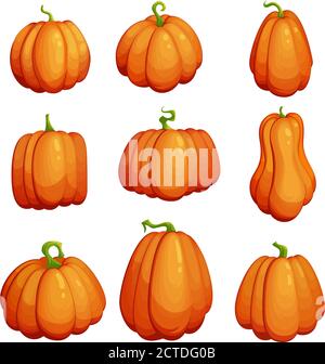 Cartoon Vektor Kürbis Set. Stock Vektor