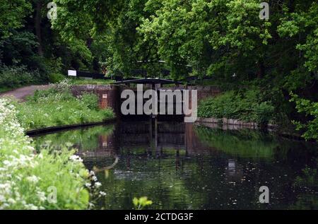 Ein Schleusentor ist auf dem schönen Basingstoke Kanal geschlossen In Surrey Stockfoto