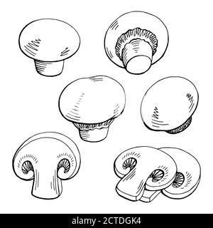 Champignon Grafik schwarz weiß isoliert Skizze Illustration Vektor Stock Vektor