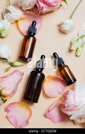 Kosmetisches Serum Flasche Behälter Produkt. Rosa Rose und kosmetische Glasflasche mit Tropf für feuchtigkeitsspendende Serum, Gesichtswasser, Reinigung, Make-up-Entferner oder Akne behandeln. Stockfoto