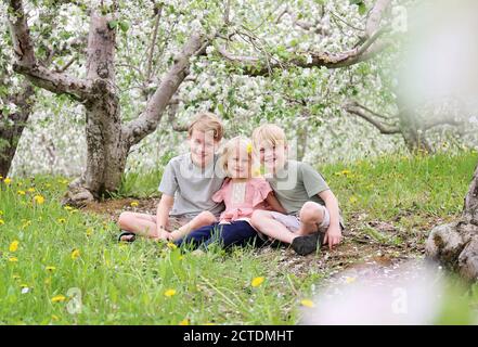 Drei glückliche kleine Kinder, Brüder und ihre Schwester, lächeln, während sie an einem Frühlingstag draußen unter den Apfelbäumen sitzen. Stockfoto