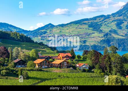 Spiez Dorf am Ufer des Thunersees im Schweizer Kanton Bern, Spiez, Schweiz. Stockfoto