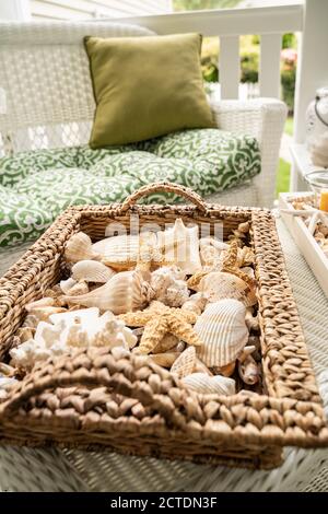 Wunderschön präsentiert von verschiedenen Muscheln einschließlich Seesterne und Sand Dollar auf der Sommerterrasse Stockfoto