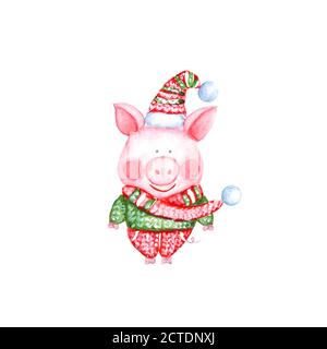 2019 Happy New Year Illustration mit Aquarell Schwein in Strickpullover, Hose, Hut und Schal isoliert auf weißem Hintergrund. Chinesisches Neujahr des Pi Stock Vektor