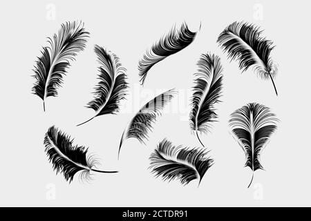 Vector Gold, rosa, silberne Federn Sammlung auf einem weißen Hintergrund gesetzt. Stock Vektor