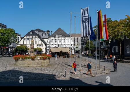 Die Stadt Brilon, historischer Marktplatz, Fachwerkhäuser, Petrusbrunnen, Ostsauerland, Hochsauerlandkreis, NRW, Deutschland Stockfoto