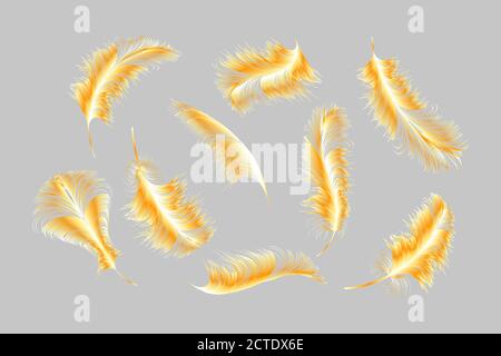 Vector Gold, rosa, silberne Federn Sammlung auf einem weißen Hintergrund gesetzt. Stock Vektor