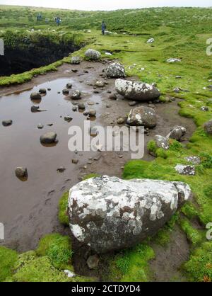 Süßwasserpools auf Enderby Island, Neuseeland, Auckland Islands, Enderby Island Stockfoto