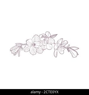 Vorgefertigte Arrangement Magnolien Blumen. Handgezeichnete Magnolie für Grußkarte Stock Vektor