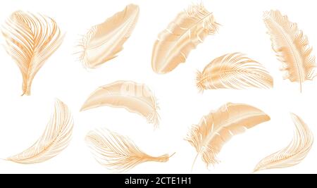 Vector Gold, rosa, silberne Federn Sammlung auf einem weißen Hintergrund gesetzt. Stock Vektor